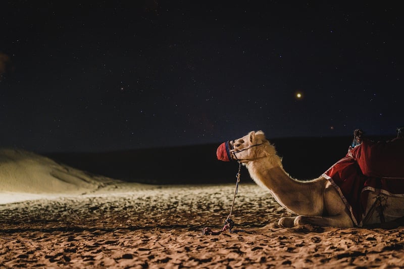 Discovering Dubai